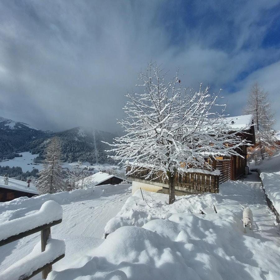 Chambre D'Hotes L'Ours Bleu Ле-Дьяблере Экстерьер фото